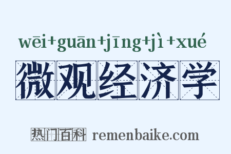 微观经济学是什么意思的图片